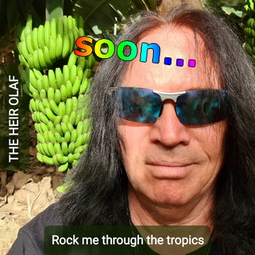 Rock me through the tropics